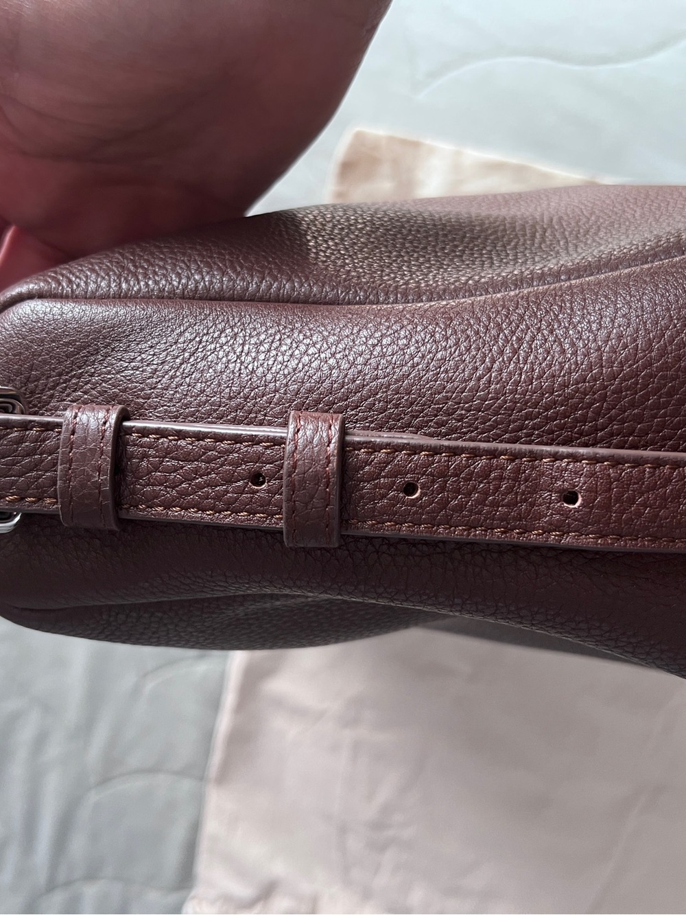 The Horse Plum Leather Shoulder Bag with Silver Hardware - Picture 8 of 12